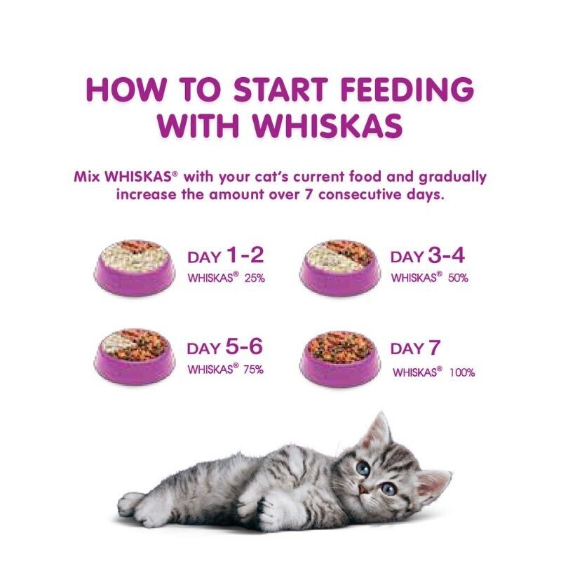 WHISKAS JUNIOR Cat Food up to 1 Year Treat with Chicken 300g 10.6oz