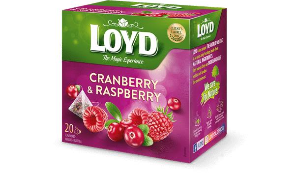 6 x LOYD CRANBERRY & RASPBERRY Flavor Fruit Tea Boxes (120 servings)