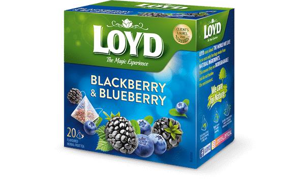 6 LOYD BLACKBERRY & BLUEBERRY Flavor Fruit Tea Boxes (120 servings total)