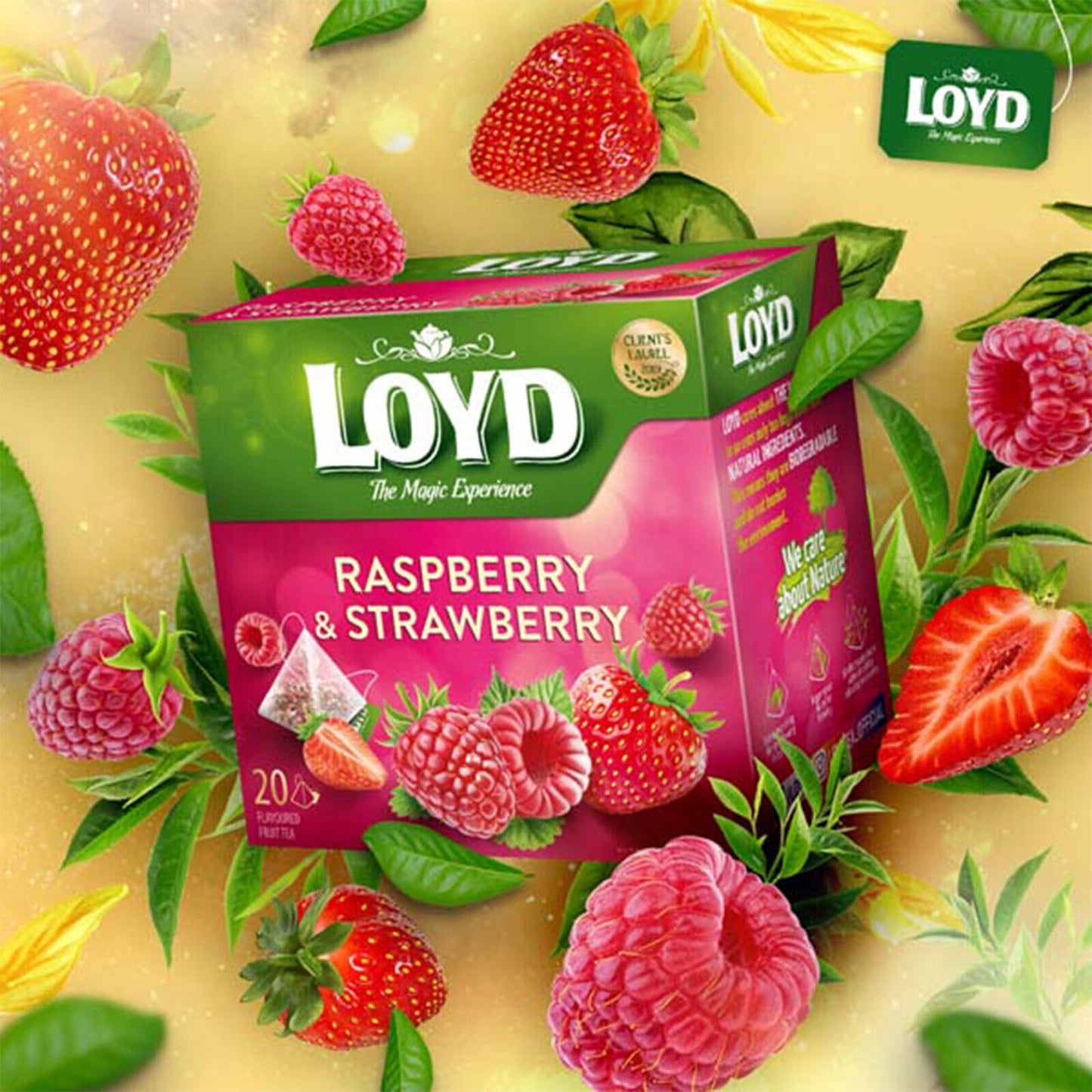 2 LOYD RASPBERRY & STRAWBERRY Flavor Fruit Tea 50 Pyramid Teabags Boxes 100g