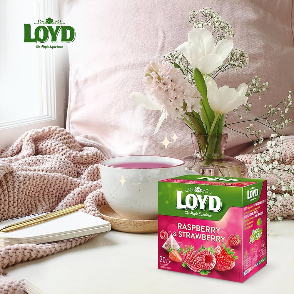 2 LOYD RASPBERRY & STRAWBERRY Flavor Fruit Tea 50 Pyramid Teabags Boxes 100g