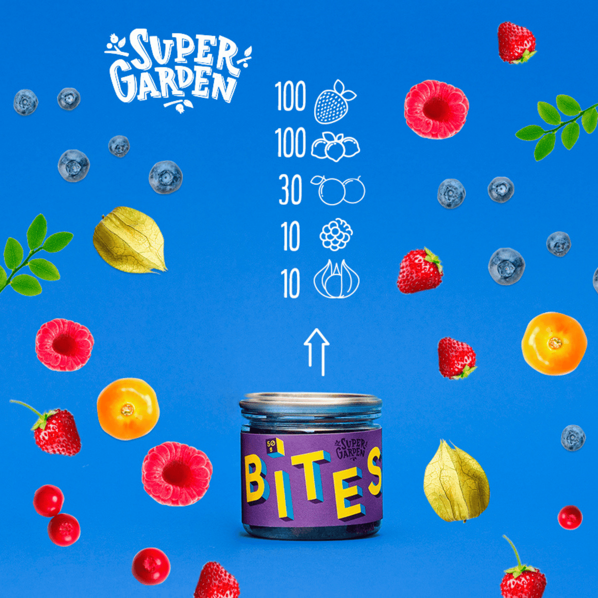 SUPERGARDEN BITES Freeze Dried Forest Berries Dried Fruits 45g