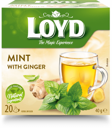LOYD Mint with Ginger Herbal Tea 40g