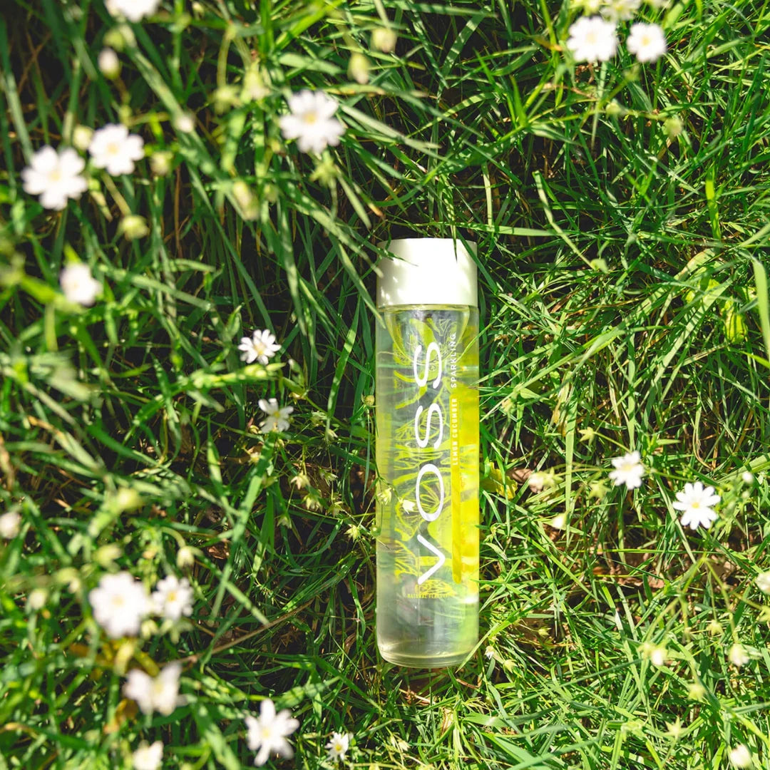 VOSS LEMON CUCUMBER Flavored Sparkling Natural Mineral Water 375ml