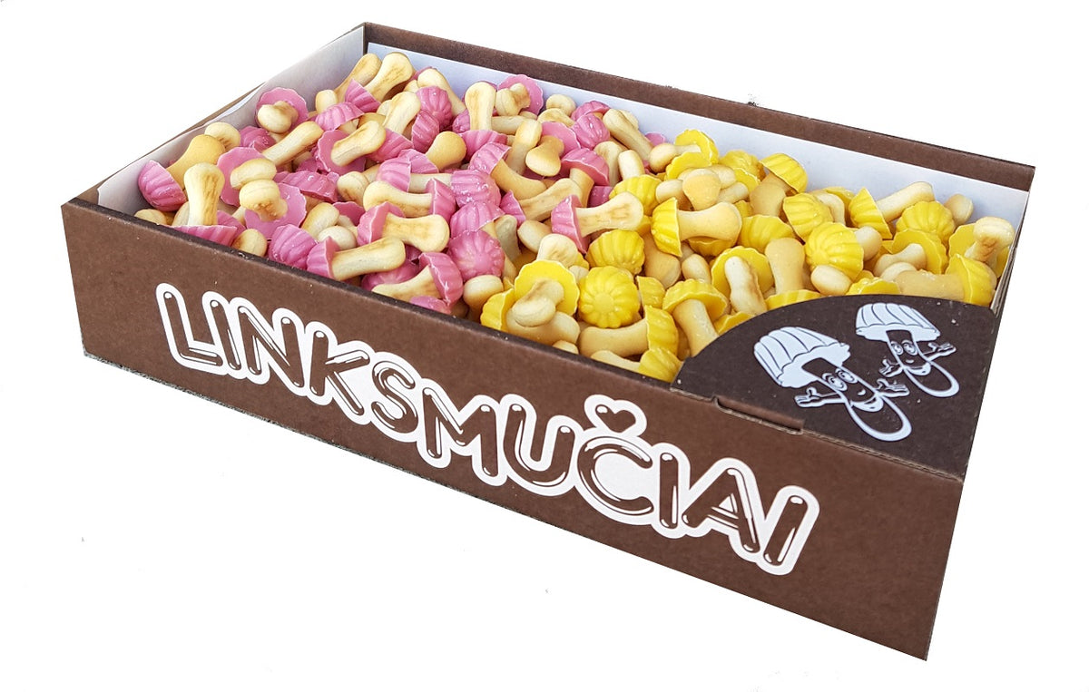 FUNNY MUSHROOMS Assorted Fruit Flavor Chocolate Flavor Cookies 1kg