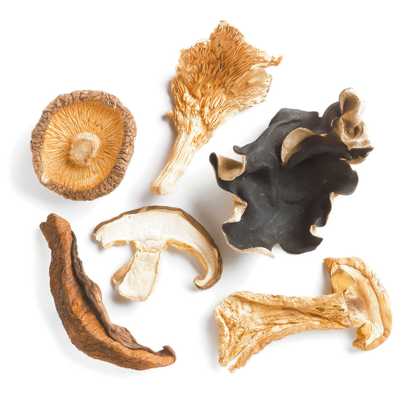 Dried Mushrooms