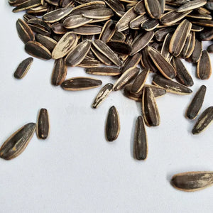 Sunflower Seeds