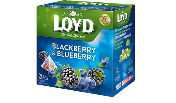 10 LOYD BLACKBERRY & BLUEBERRY Flavor Fruit Tea Pyramid Teabags (200 servings)