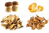 Dried Chanterelle & Boletus Wild Forest Mushrooms 50g