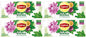 4 LIPTON MORINGA with Passionfruit Herbal Tea Infusion Boxes (80 servings)