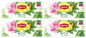 4 LIPTON NETTLE with Mango Herbal Tea Infusion Boxes (80 servings)