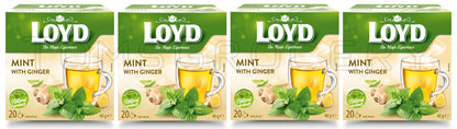 4 LOYD Mint & Ginger Flavored Herbal Tea Infusion Boxes (80 servings total)