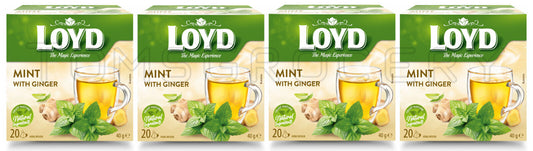 4 LOYD Mint & Ginger Flavored Herbal Tea Infusion Boxes (80 servings total)