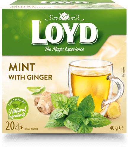 4 LOYD Mint & Ginger Flavored Herbal Tea Infusion Boxes (80 servings total)