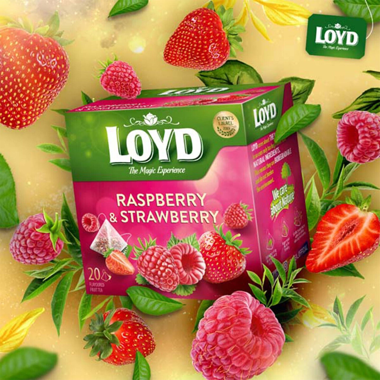 2 LOYD RASPBERRY STRAWBERRY Flavor Fruit Tea Boxes (100 servings total)