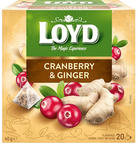 LOYD CRANBERRY & GINGER Flavor Fruit Tea 40g