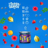 SUPERGARDEN BITES Freeze Dried Forest Berries Dried Fruits 45g