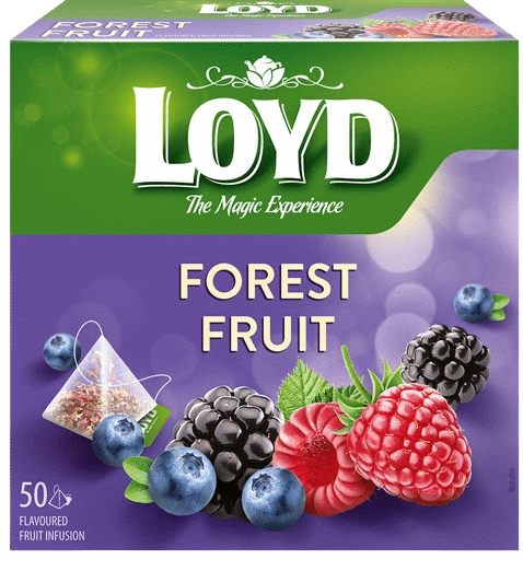 LOYD FOREST FRUIT Flavor Fruit Tea 50 Teabags Box 100g