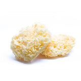 DIAMOND Dried White Fungus Chinese Mushrooms Tremella Fuciformis 100g