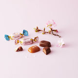 FAZER GEISHA Caramel & Sea Salt Flavor Milk Chocolate Candies Box 150g