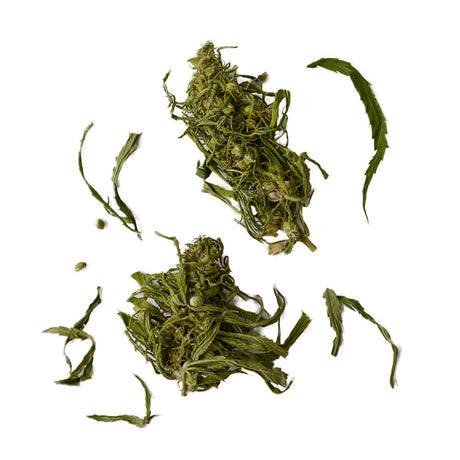 DVARO KAVOS Hemp Flower Buds Loose Herbal Tea 15g