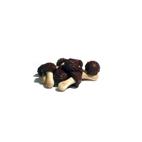 FUNNY MUSHROOMS Milk Chocolate Flavor Cookies 170g